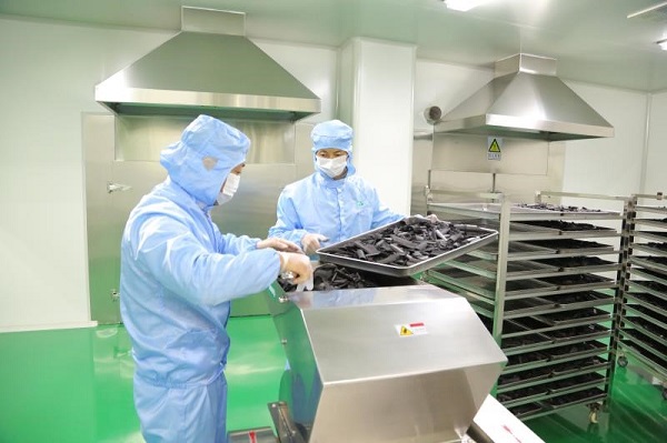 小众产品植物炭黑撬开大市场的感悟——浙江旺林公司汪芳